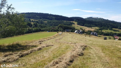 Działka w Górach Sowich - Walim  - dolnośląskie