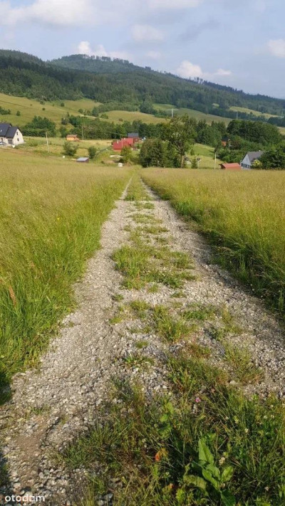 Działka w Górach Sowich - Walim  -
dolnośląskie Zdjęcie nr 6