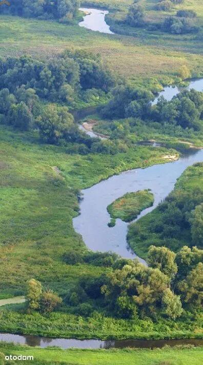 działki na szlaku Św Jakuba - Probołowice   -
świętokrzyskie Zdjęcie nr 4