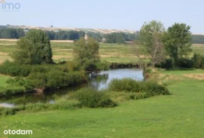 działki na szlaku Św Jakuba - Probołowice   -
świętokrzyskie Zdjęcie nr 7