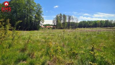 Zaścianki działka deweloperska - Zaścianki  -
PODLASKIE Zdjęcie nr 2