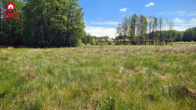 Zaścianki działka deweloperska - Zaścianki  -
PODLASKIE Zdjęcie nr 3