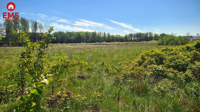 Zaścianki działka deweloperska - Zaścianki  -
PODLASKIE Zdjęcie nr 4