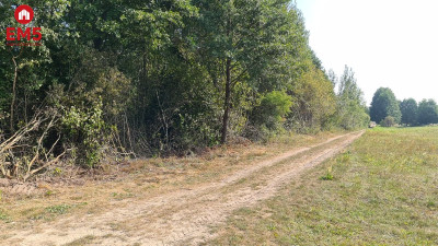 Ciasne Działka budowlana 5100 m2 - Białystok  -
PODLASKIE Zdjęcie nr 2