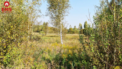 Ciasne Działka budowlana 5100 m2 - Białystok  -
PODLASKIE Zdjęcie nr 7