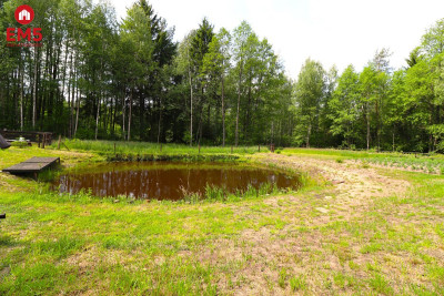 Działka budowlana staw ogrodzenie - Płaska  -
PODLASKIE Zdjęcie nr 5
