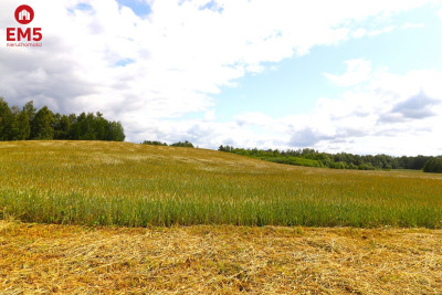 Działka rolno-budowlana Garbas II 55 ha - Garbas Drugi  -
PODLASKIE Zdjęcie nr 12