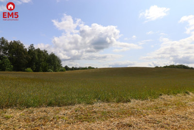 Działka rolno-budowlana Garbas II 55 ha - Garbas Drugi  -
PODLASKIE Zdjęcie nr 4
