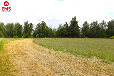 Działka rolno-budowlana Garbas II 55 ha - Garbas Drugi  -
PODLASKIE Zdjęcie nr 5