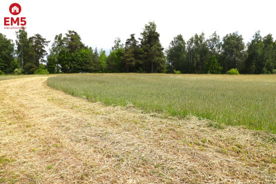 Działka rolno-budowlana Garbas II 55 ha - Garbas Drugi  -
PODLASKIE Zdjęcie nr 6