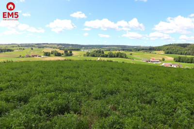 Działka rolno budowlana gmina Rutka-Tartak  - Olszanka  -
PODLASKIE Zdjęcie nr 5