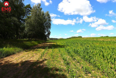 Działka budowlana na Mazurach Rożyńsk Wielki - Rożyńsk Wielki  -
WARMIŃSKO-MAZURSKIE Zdjęcie nr 11