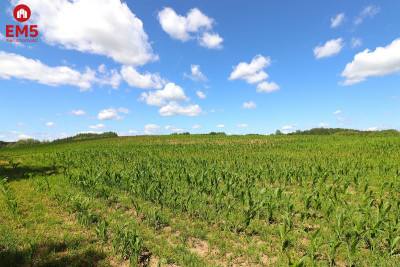 Działka budowlana na Mazurach Rożyńsk Wielki - Rożyńsk Wielki  -
WARMIŃSKO-MAZURSKIE Zdjęcie nr 12