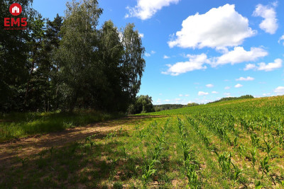 Działka budowlana na Mazurach Rożyńsk Wielki - Rożyńsk Wielki  -
WARMIŃSKO-MAZURSKIE Zdjęcie nr 4