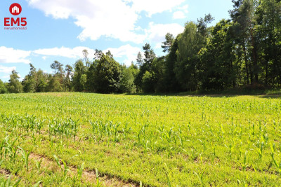 Działka budowlana na Mazurach Rożyńsk Wielki - Rożyńsk Wielki  -
WARMIŃSKO-MAZURSKIE Zdjęcie nr 6