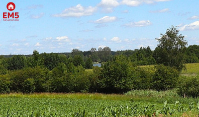 Działka budowlana na Mazurach Rożyńsk Wielki - Rożyńsk Wielki  -
WARMIŃSKO-MAZURSKIE Zdjęcie nr 8