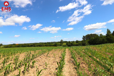 Działka budowlana na Mazurach Rożyńsk Wielki - Rożyńsk Wielki  -
WARMIŃSKO-MAZURSKIE Zdjęcie nr 9