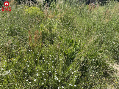 Działka blisko Centrum - Białystok  -
podlaskie Zdjęcie nr 2