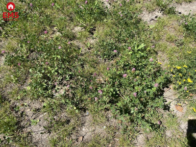 Działka blisko Centrum - Białystok  -
podlaskie Zdjęcie nr 3