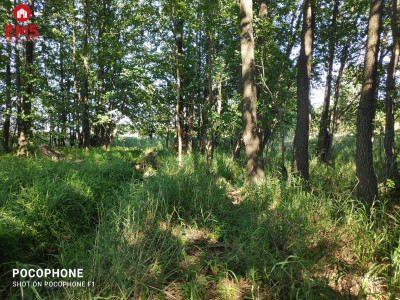 Działka rolna  z dostępem do jeziora  Rożyńsk Wiel - Rożyńsk Wielki  -
WARMIŃSKO-MAZURSKIE Zdjęcie nr 8