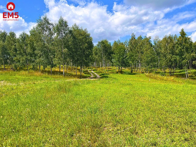 Działka budowlana - pierwsza linia w strefie ciszy - Dąbrówno  -
WARMIŃSKO-MAZURSKIE Zdjęcie nr 7