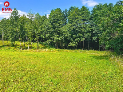 Działka budowlana z dostępem do jeziora - Mazury - Stare Miasto  -
WARMIŃSKO-MAZURSKIE Zdjęcie nr 4