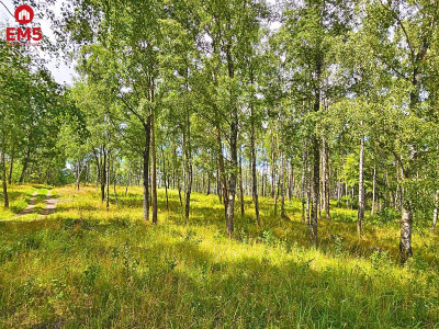 Działka budowlana z dostępem do jeziora - Mazury - Stare Miasto  -
WARMIŃSKO-MAZURSKIE Zdjęcie nr 5