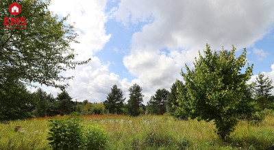 Działka budowlana pod Suwałkami - Białorogi  -
PODLASKIE Zdjęcie nr 10