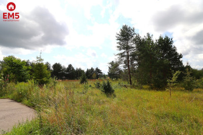 Działka budowlana pod Suwałkami - Białorogi  -
PODLASKIE Zdjęcie nr 13