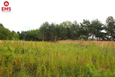 Działka budowlana pod Suwałkami - Białorogi  -
PODLASKIE Zdjęcie nr 2