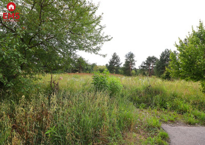 Działka budowlana pod Suwałkami - Białorogi  -
PODLASKIE Zdjęcie nr 8