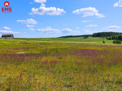 Działka budowlana strefa ciszy na Mazurach - Skolity  -
WARMIŃSKO-MAZURSKIE Zdjęcie nr 2