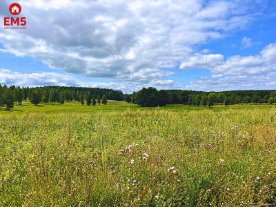 Działka budowlana na szlaku Kanału Elbląskiego - Małdyty  -
WARMIŃSKO-MAZURSKIE Zdjęcie nr 2