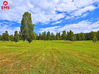 Działka budowlana na szlaku Kanału Elbląskiego - Małdyty  -
WARMIŃSKO-MAZURSKIE Zdjęcie nr 5