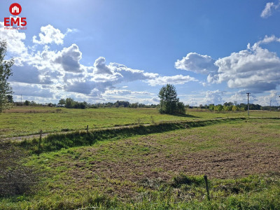 Działka inwestycyjna 22 ha - Kuriany  -
PODLASKIE Zdjęcie nr 3