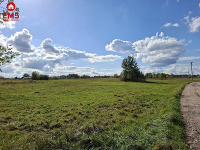 Działka inwestycyjna 22 ha - Kuriany  -
PODLASKIE Zdjęcie nr 4