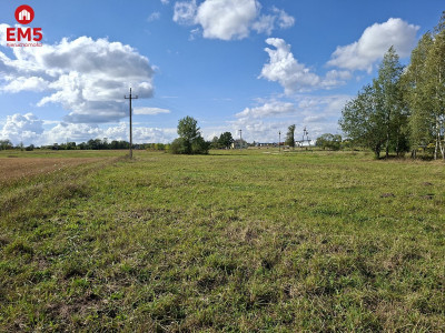 Działka inwestycyjna 22 ha - Kuriany  -
PODLASKIE Zdjęcie nr 6