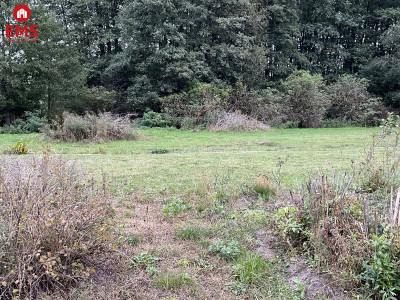 Nowodworce działka pod wymarzony dom lub inwestycj - Nowodworce  -
PODLASKIE Zdjęcie nr 2