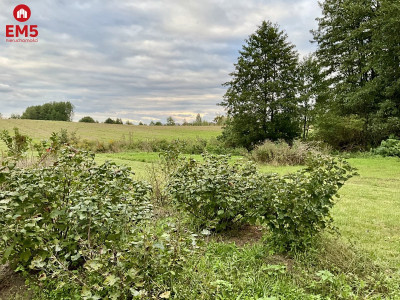 Nowodworce działka pod wymarzony dom lub inwestycj - Nowodworce  -
PODLASKIE Zdjęcie nr 3