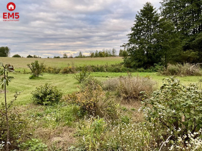 Nowodworce działka pod wymarzony dom lub inwestycj - Nowodworce  -
PODLASKIE Zdjęcie nr 4