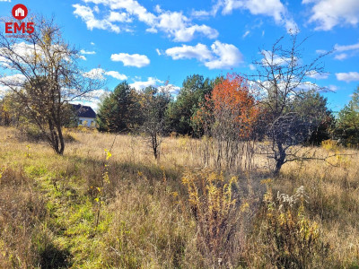 Działka inwestycyjna w Sowlanach - Sowlany  -
PODLASKIE Zdjęcie nr 2