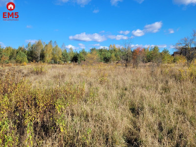 Działka inwestycyjna w Sowlanach - Sowlany  -
PODLASKIE Zdjęcie nr 4
