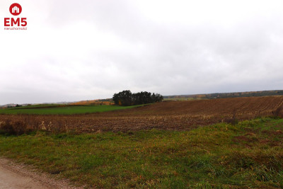 Działka rolno-budowlana  Żegary gm Sejny - Żegary  -
PODLASKIE Zdjęcie nr 10