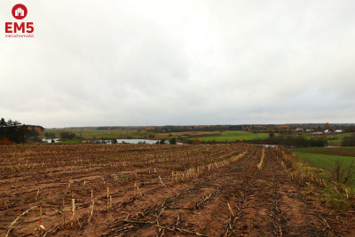 Działka rolno-budowlana  Żegary gm Sejny - Żegary  -
PODLASKIE Zdjęcie nr 12
