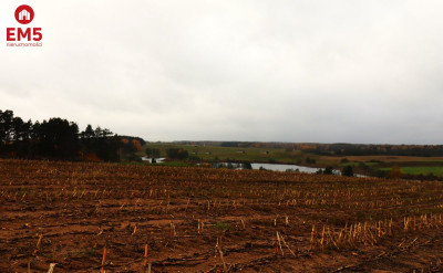 Działka rolno-budowlana  Żegary gm Sejny - Żegary  - PODLASKIE
