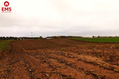 Działka rolno-budowlana  Żegary gm Sejny - Żegary  -
PODLASKIE Zdjęcie nr 8