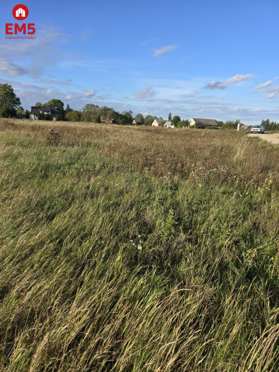 Działka budowlana blisko Narwi z WZ - Pajewo  -
PODLASKIE Zdjęcie nr 4