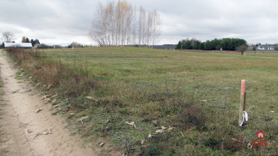 Działka budowlana 1000 m2 - Tołcze  -
Podlaskie Zdjęcie nr 4