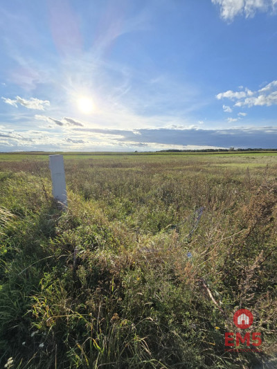 Działak budowlana blisko Narwi - Pajewo  - Podlaskie