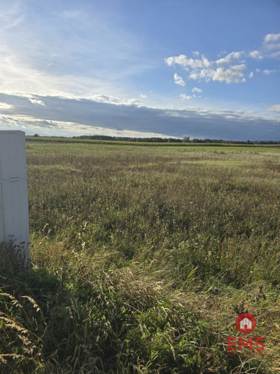 Działak budowlana blisko Narwi - Pajewo  -
Podlaskie Zdjęcie nr 2